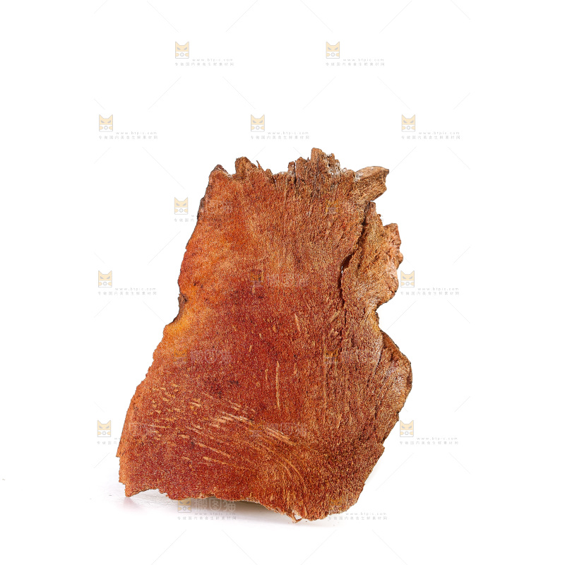 白底上的土茯苓