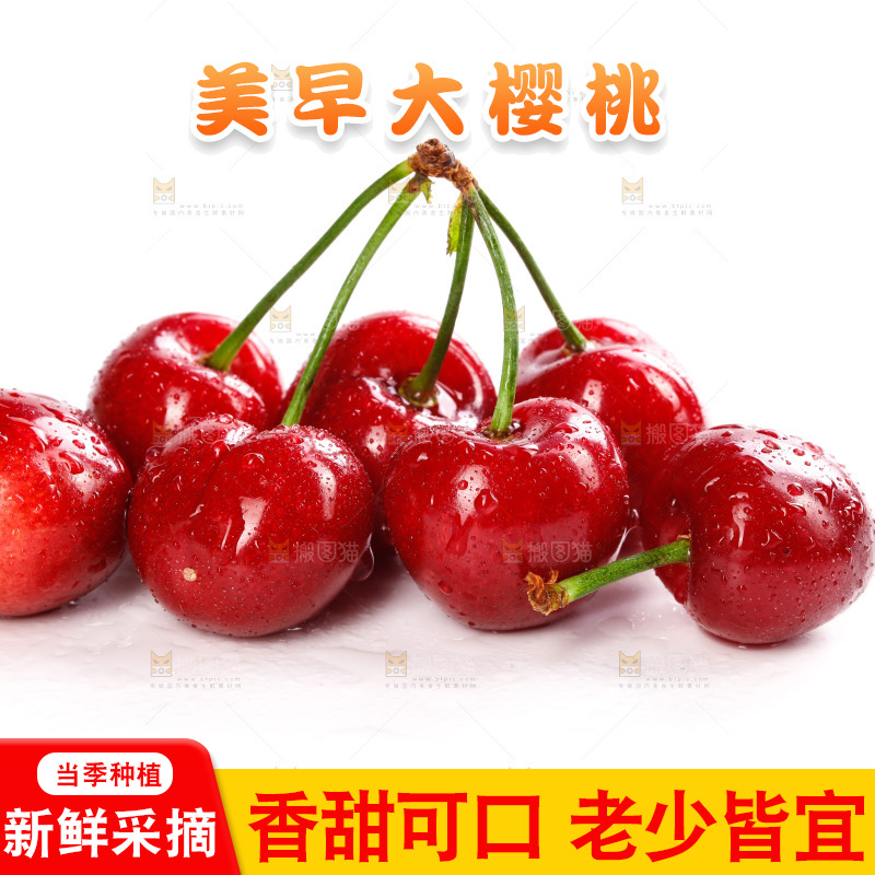 白底上的樱桃