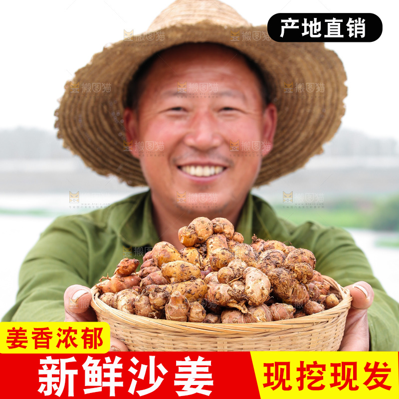 手里拿着沙姜
