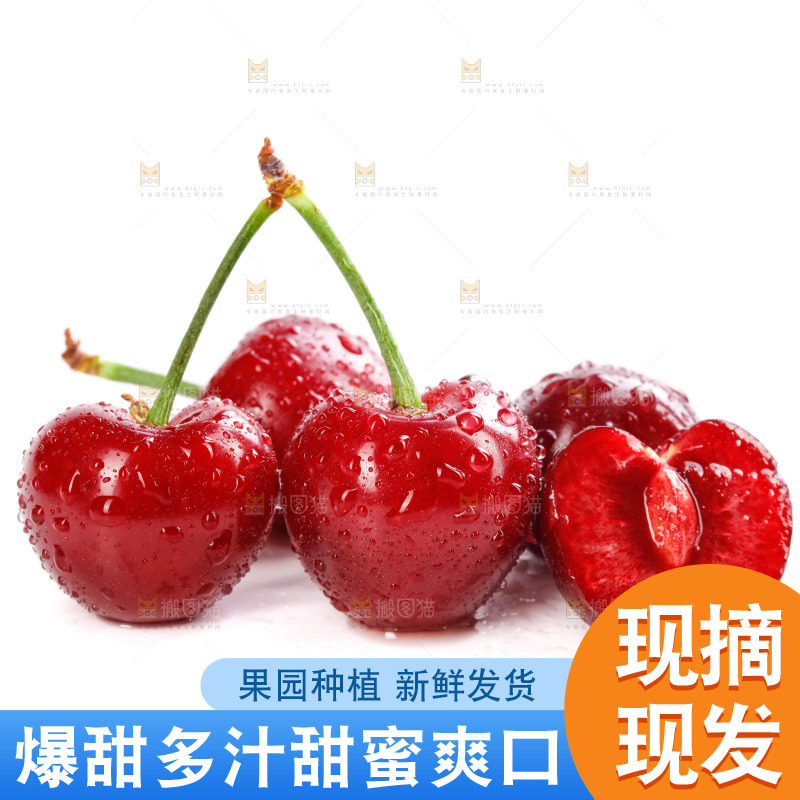 白底上的樱桃