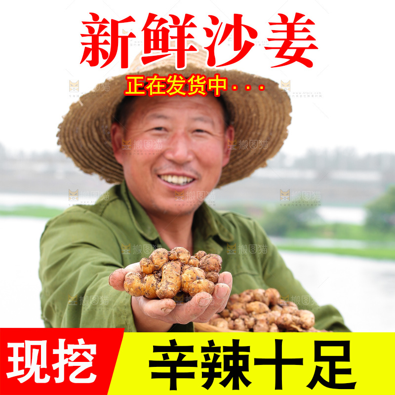 手里拿着沙姜