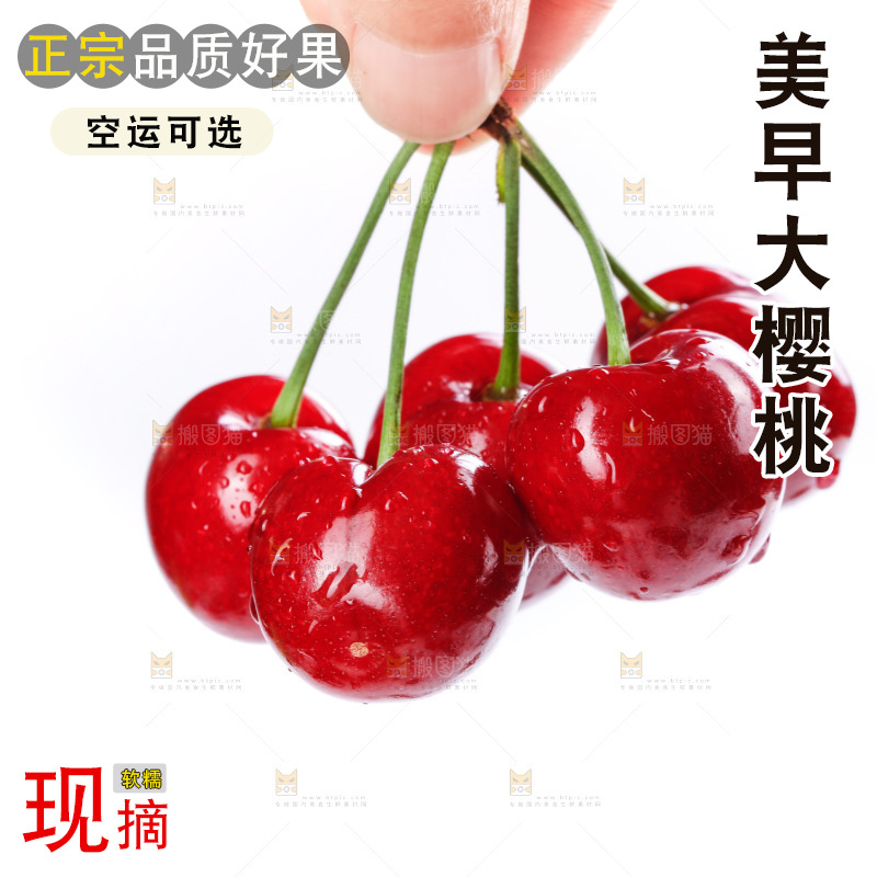 白底上的樱桃