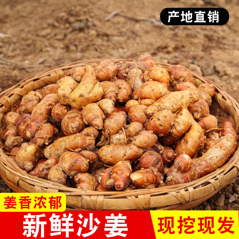 田地里的新鲜沙姜