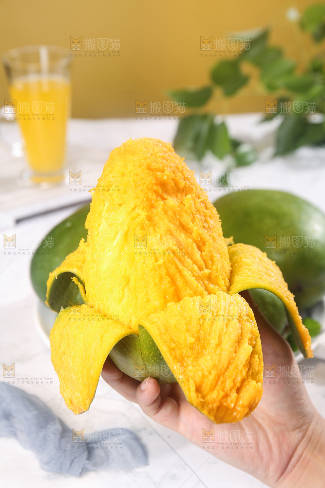 浅底上的凯特芒