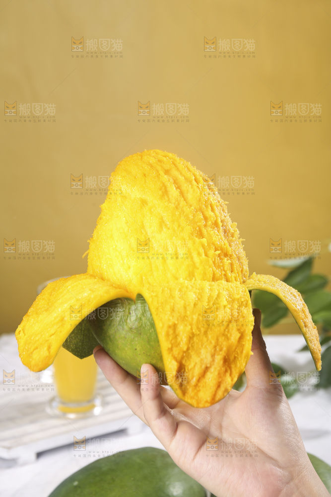 浅底上的凯特芒