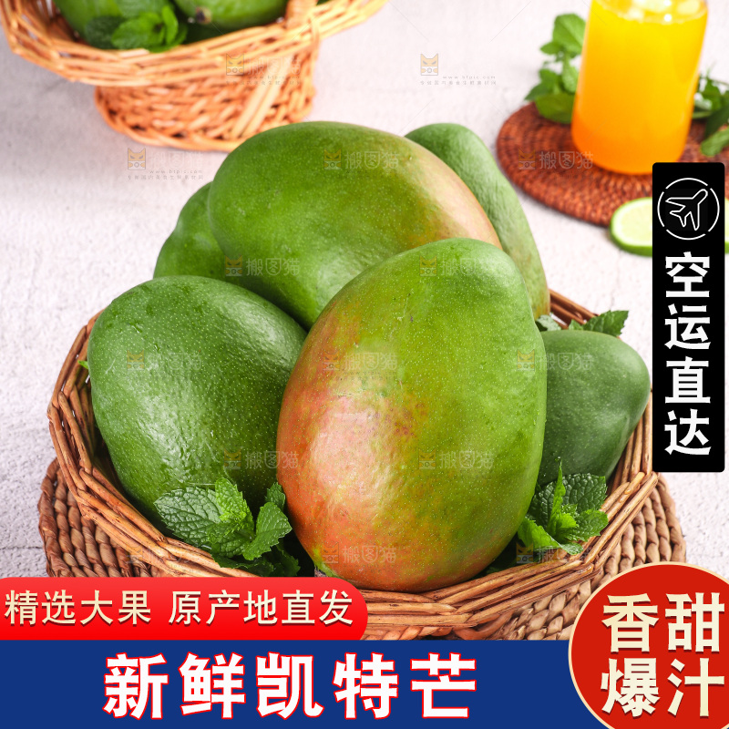 浅底上的凯特芒