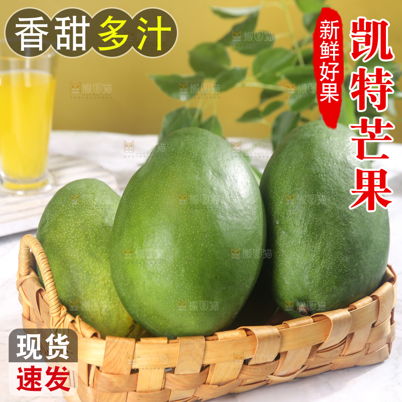 浅底上的凯特芒