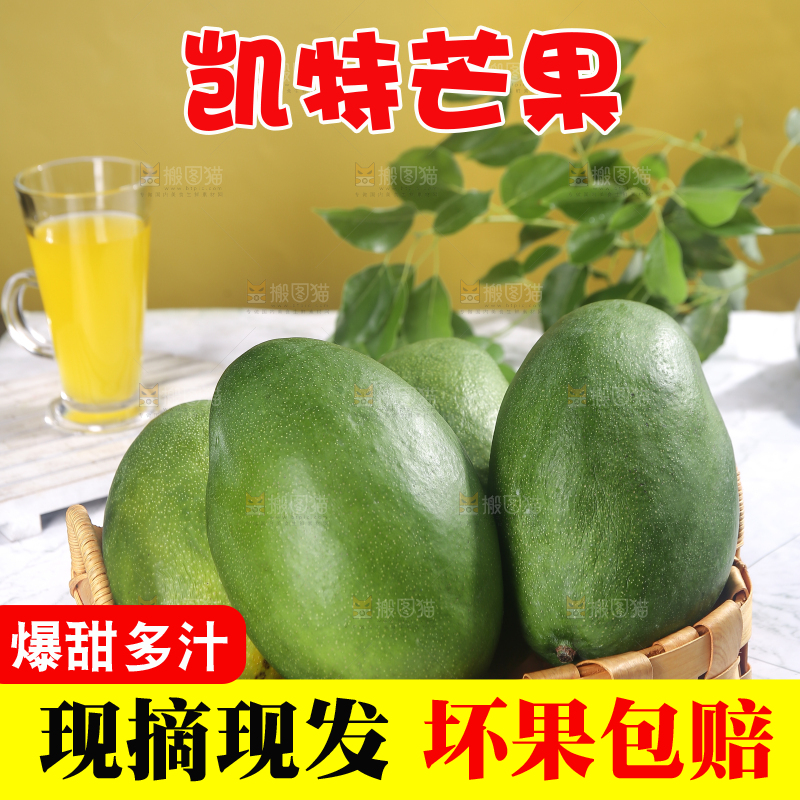 浅底上的凯特芒