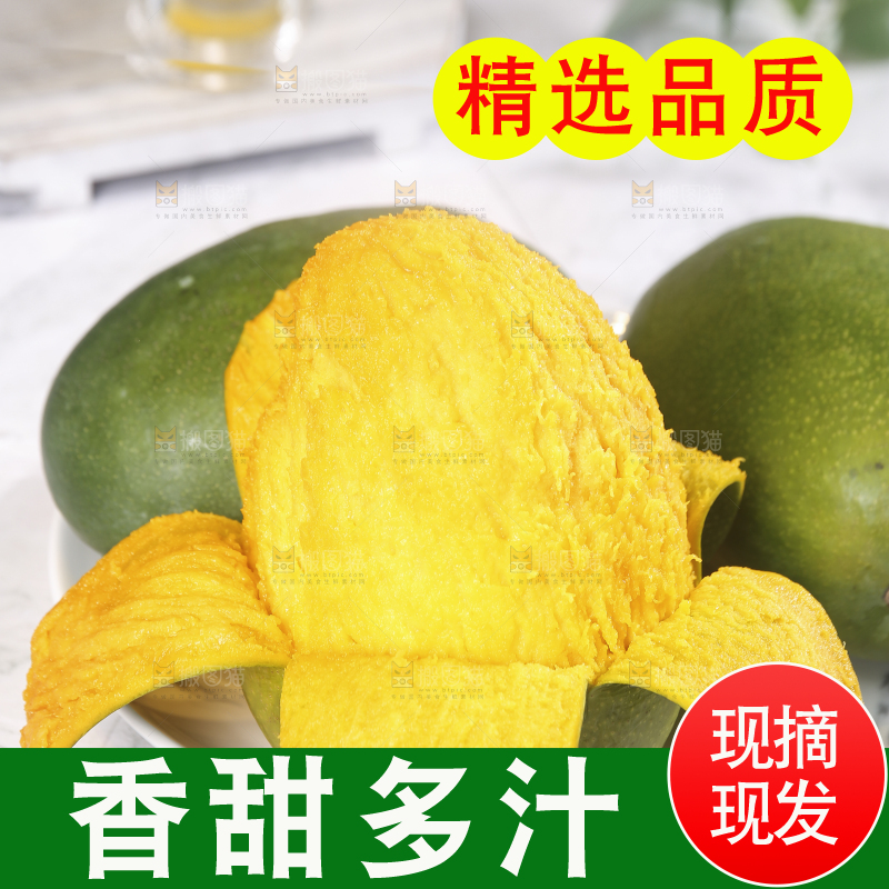 浅底上的凯特芒