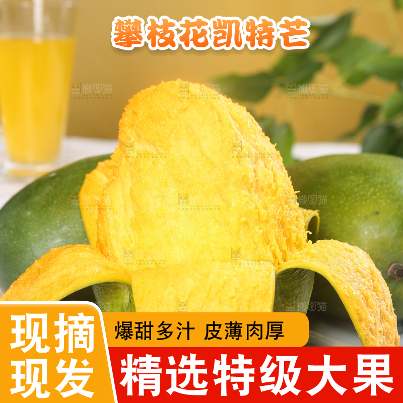 浅底上的凯特芒