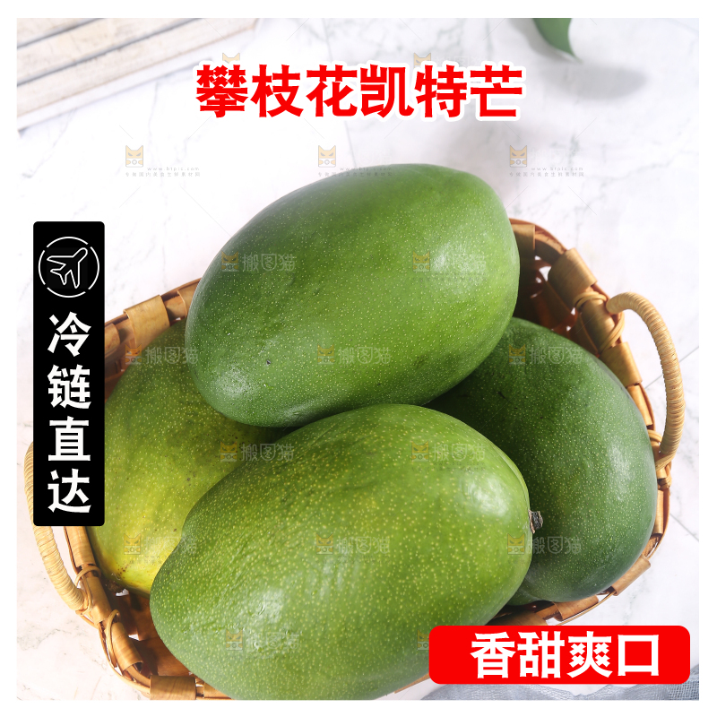 浅底上的凯特芒