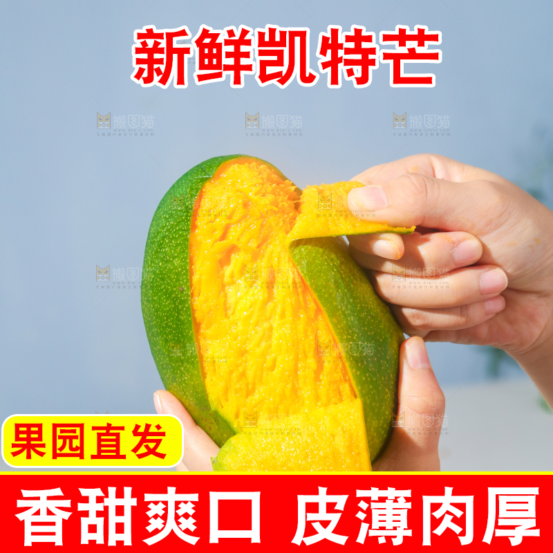 浅底上的凯特芒