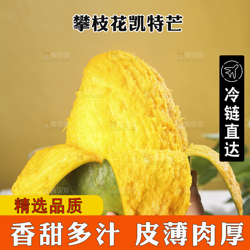 浅底上的凯特芒
