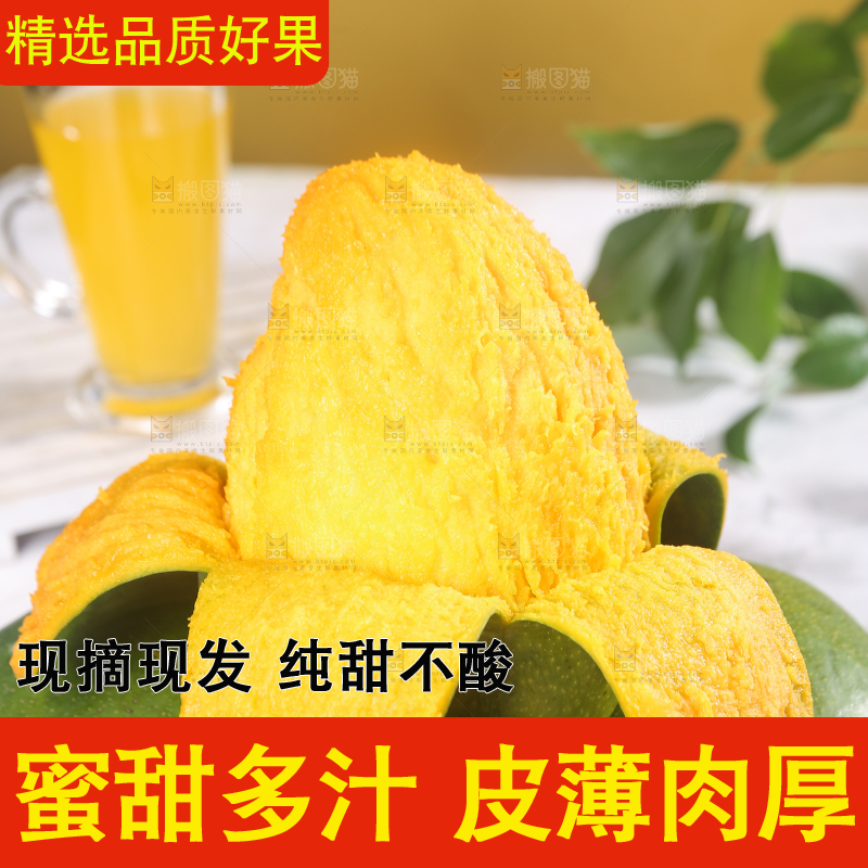 浅底上的凯特芒