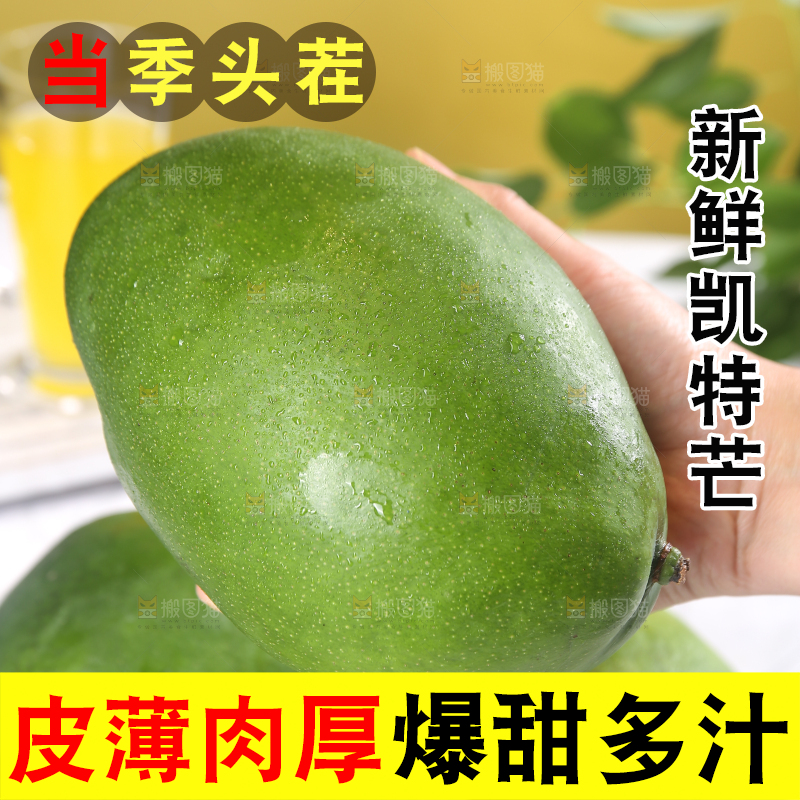 浅底上的凯特芒