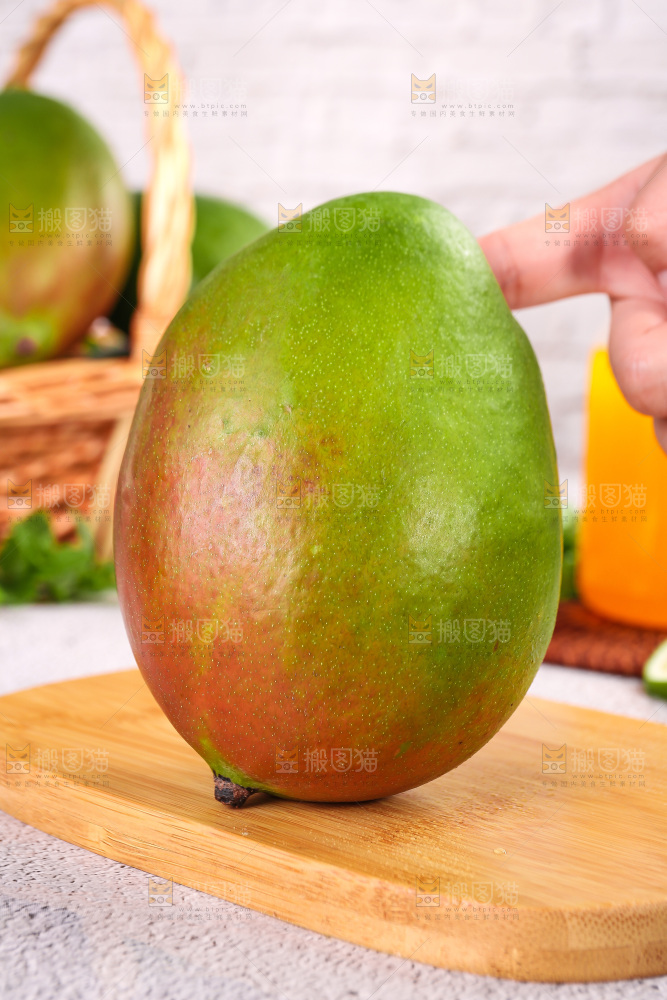 浅底上的凯特芒