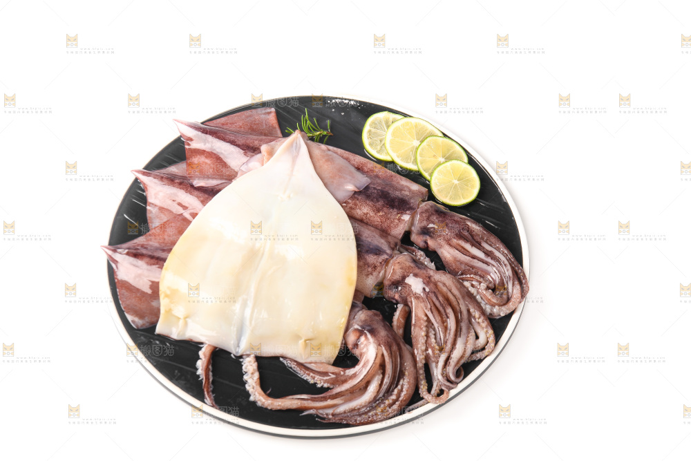 白底上的新鲜鱿鱼