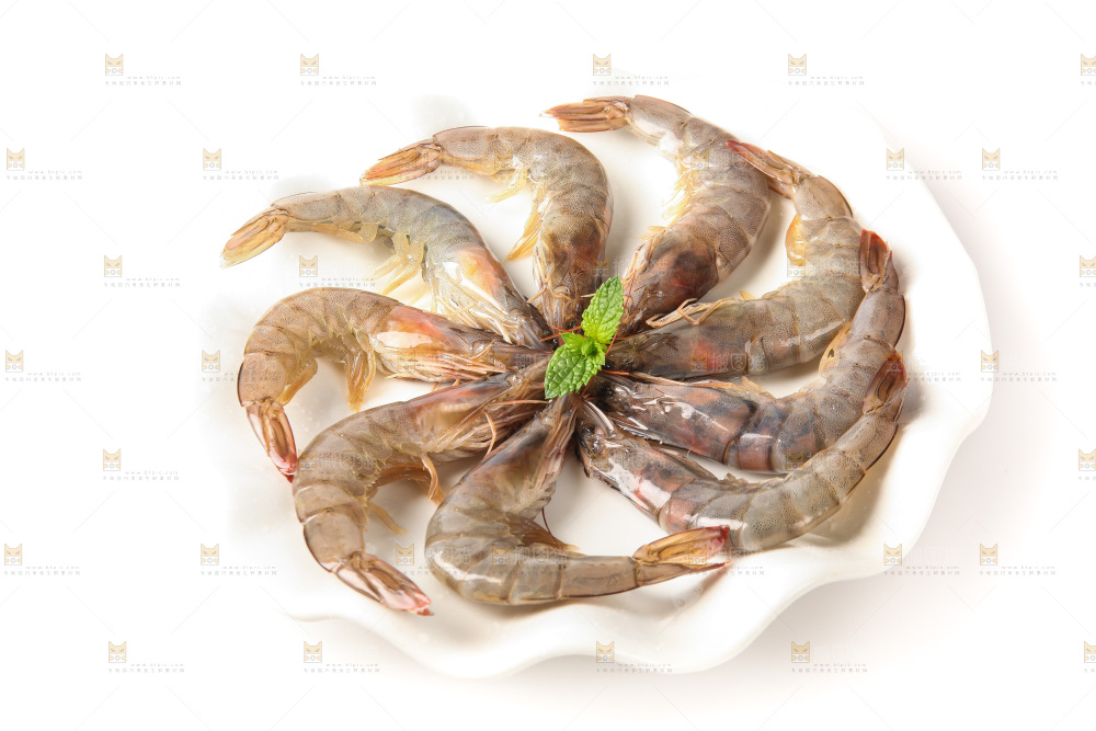 白底上的大虾