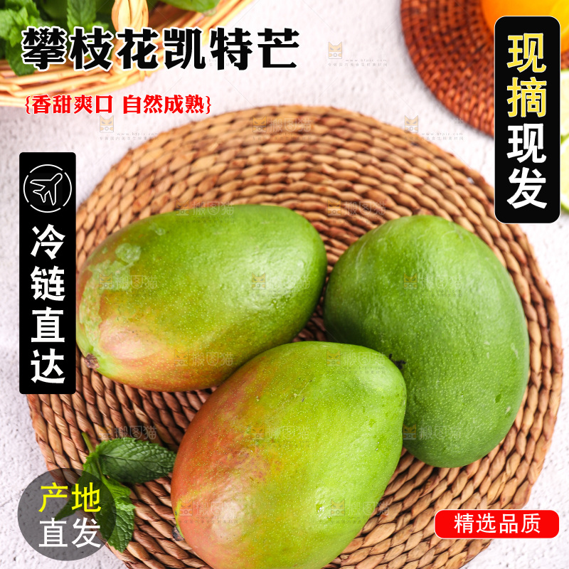 浅底上的凯特芒