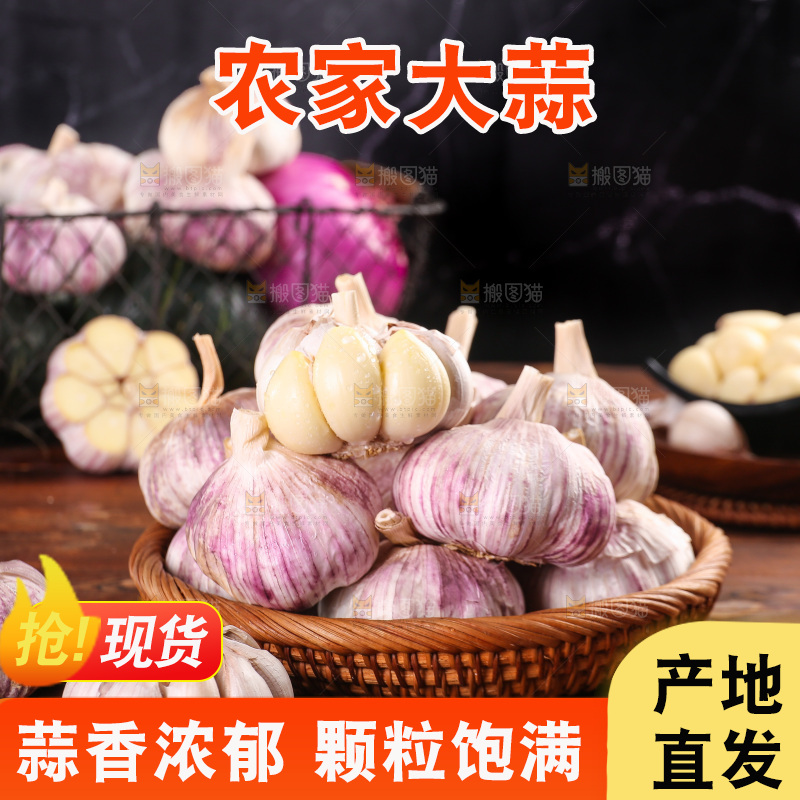木底上的紫皮大蒜