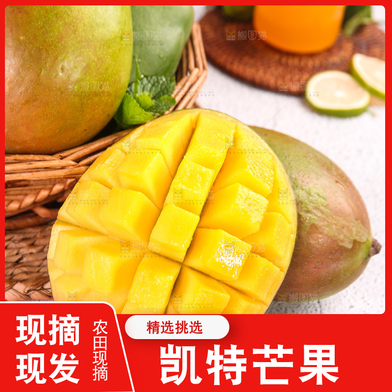 浅底上的凯特芒