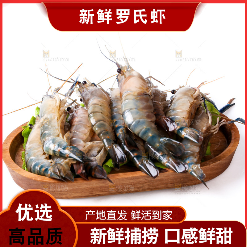 白底上的罗氏虾