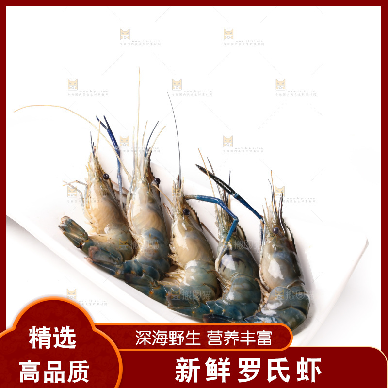 白底上的罗氏虾