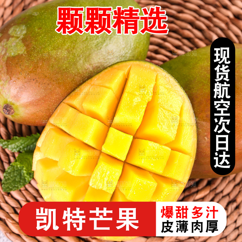 浅底上的凯特芒