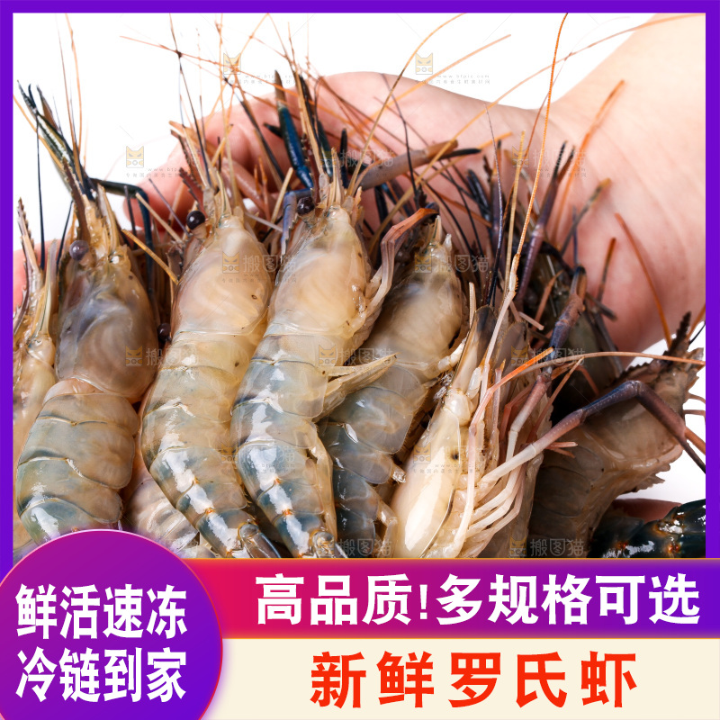 白底上的罗氏虾