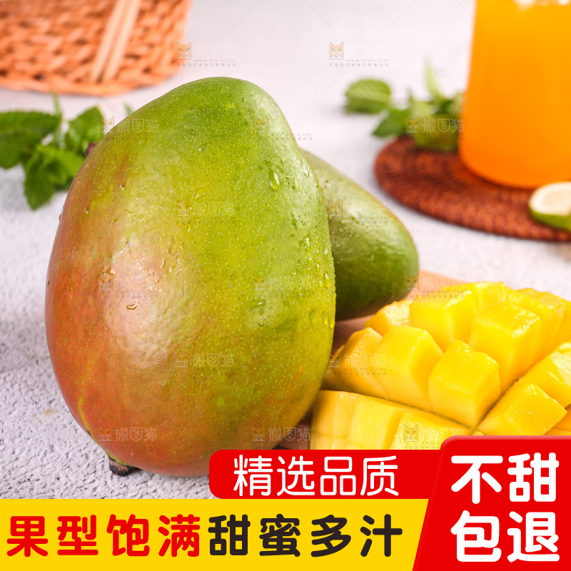 浅底上的凯特芒