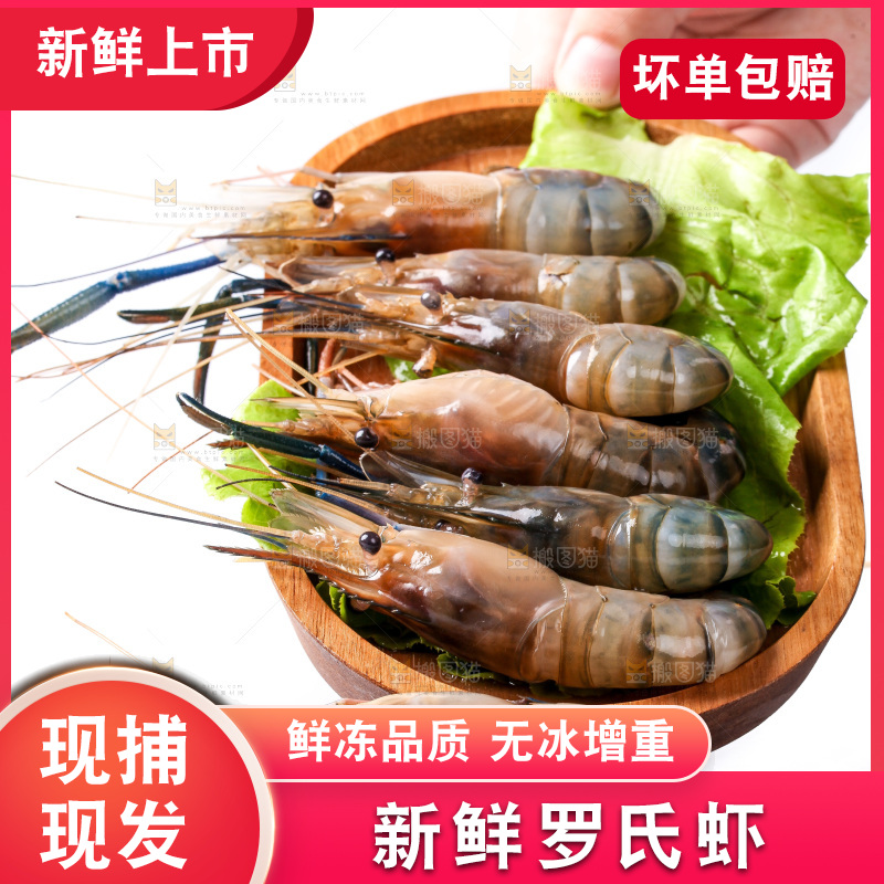白底上的罗氏虾