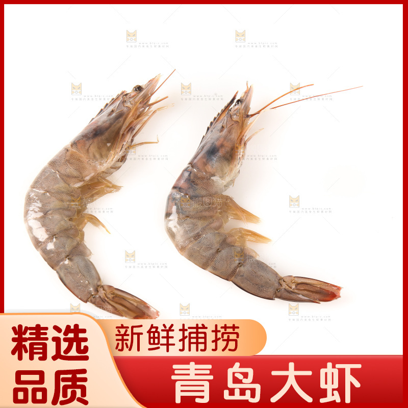 白底上的大虾