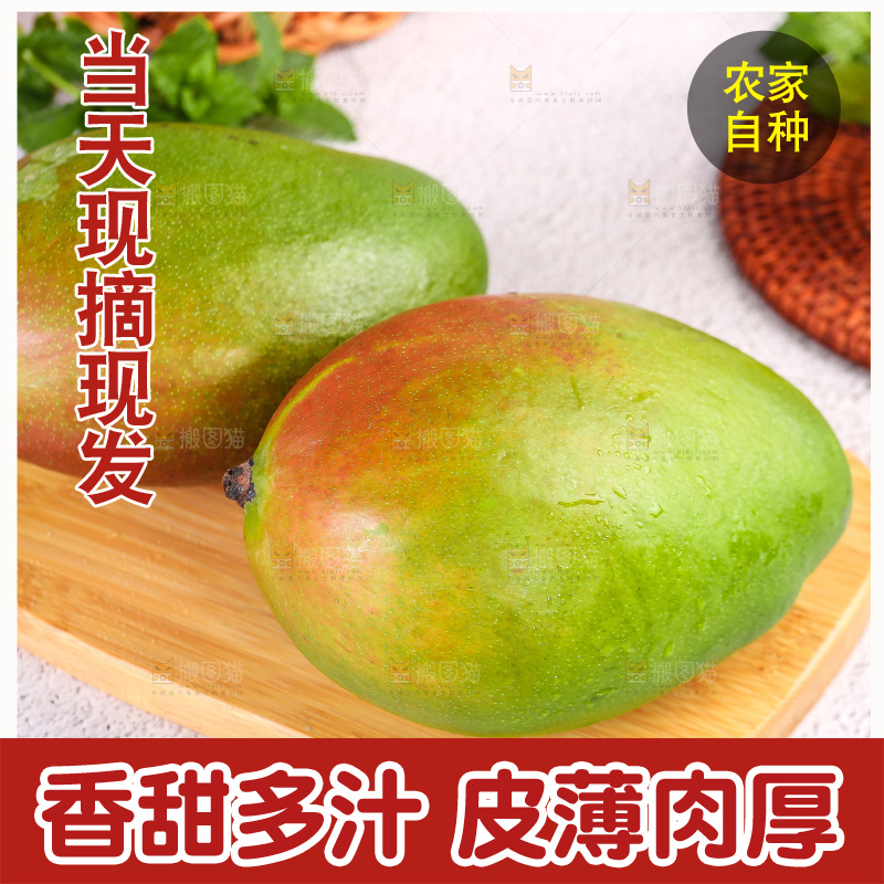 浅底上的凯特芒