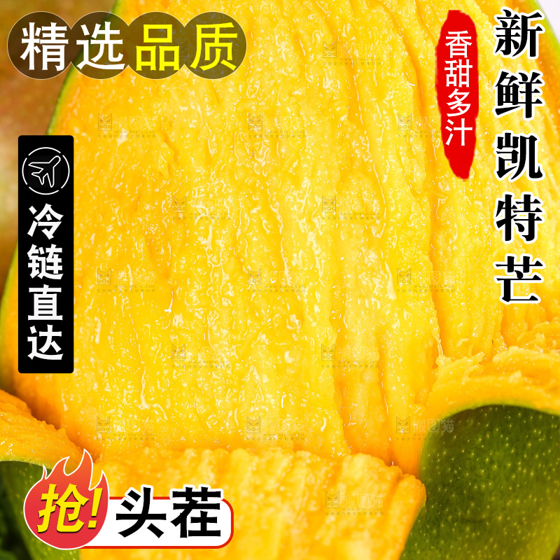 浅底上的凯特芒