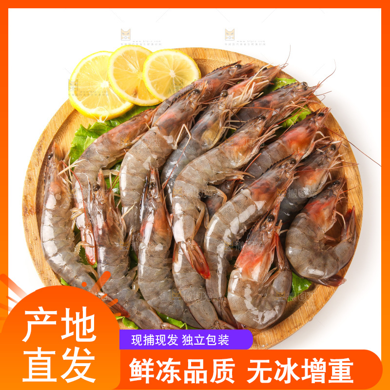白底上的大虾