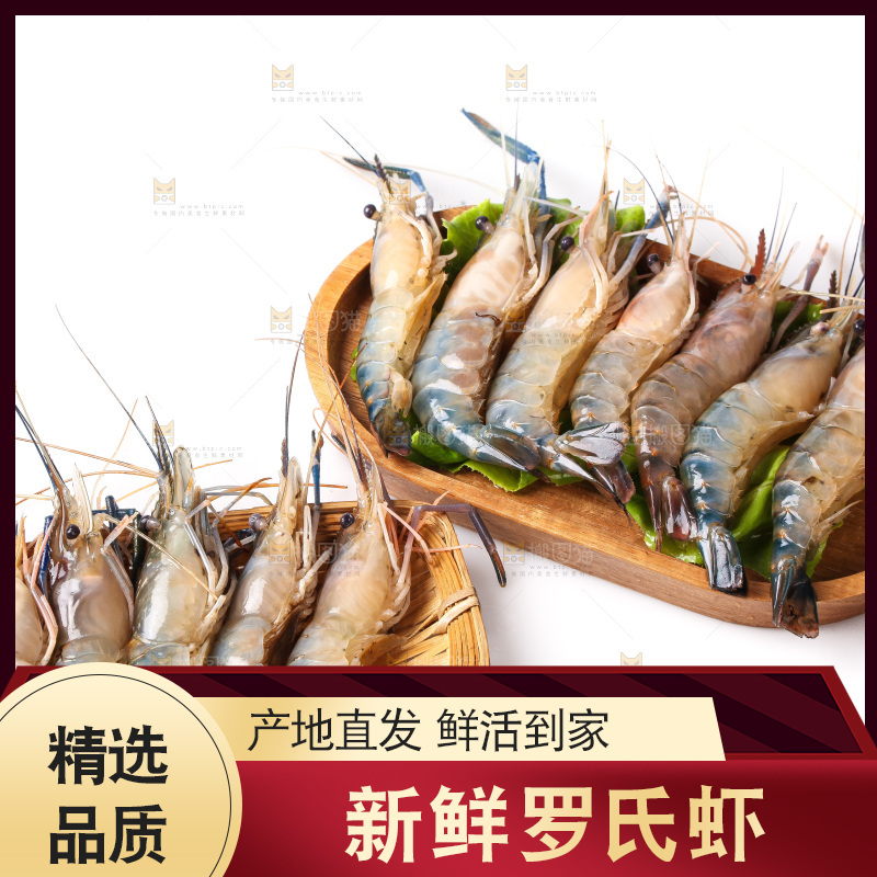 白底上的罗氏虾