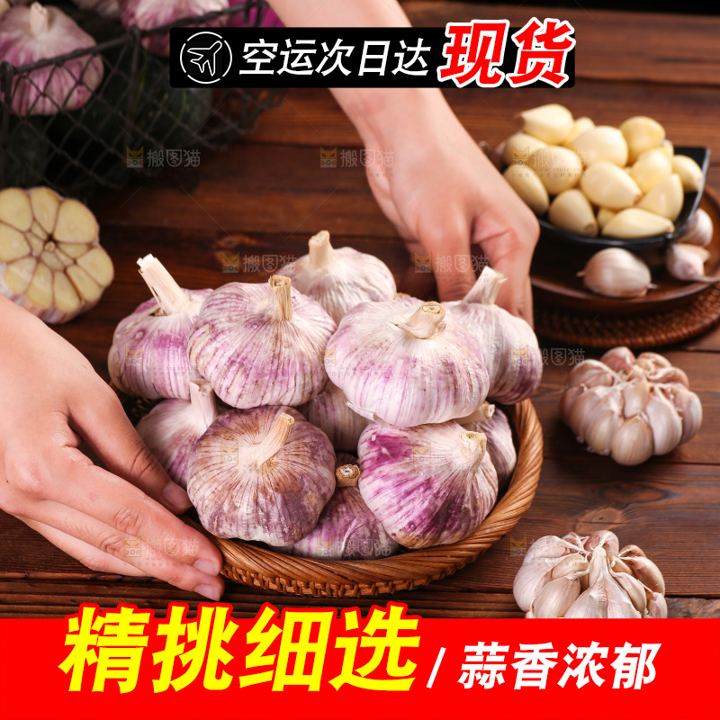 木底上的紫皮大蒜