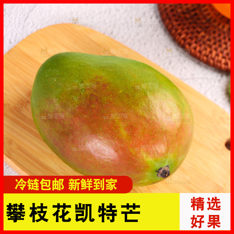 浅底上的凯特芒