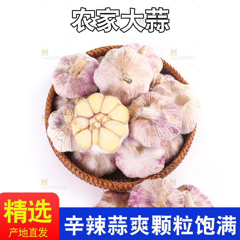 白底上的紫皮大蒜