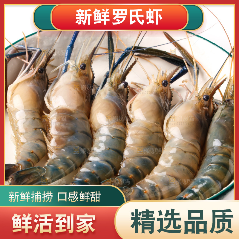 白底上的罗氏虾