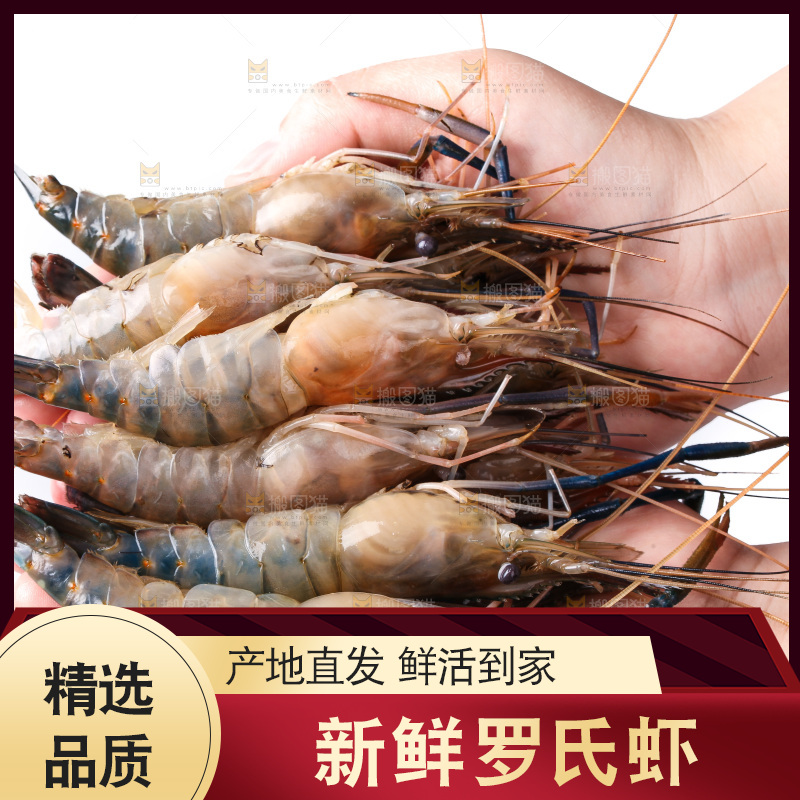 白底上的罗氏虾