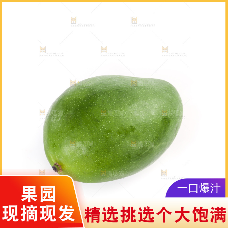 白底上的凯特芒果