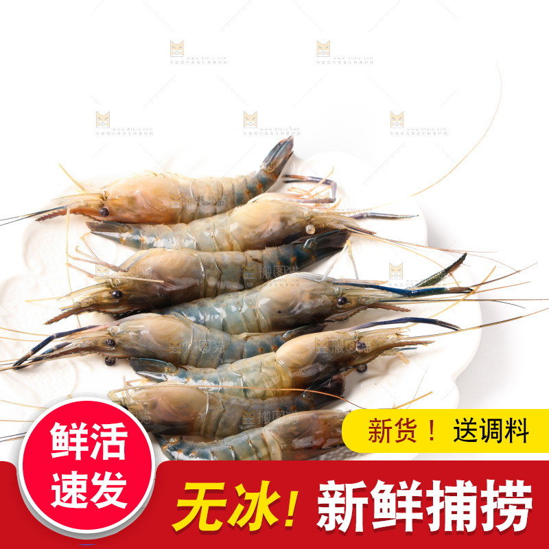 白底上的罗氏虾