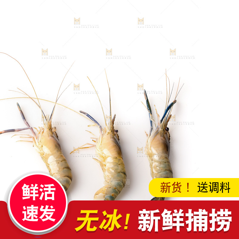 白底上的罗氏虾