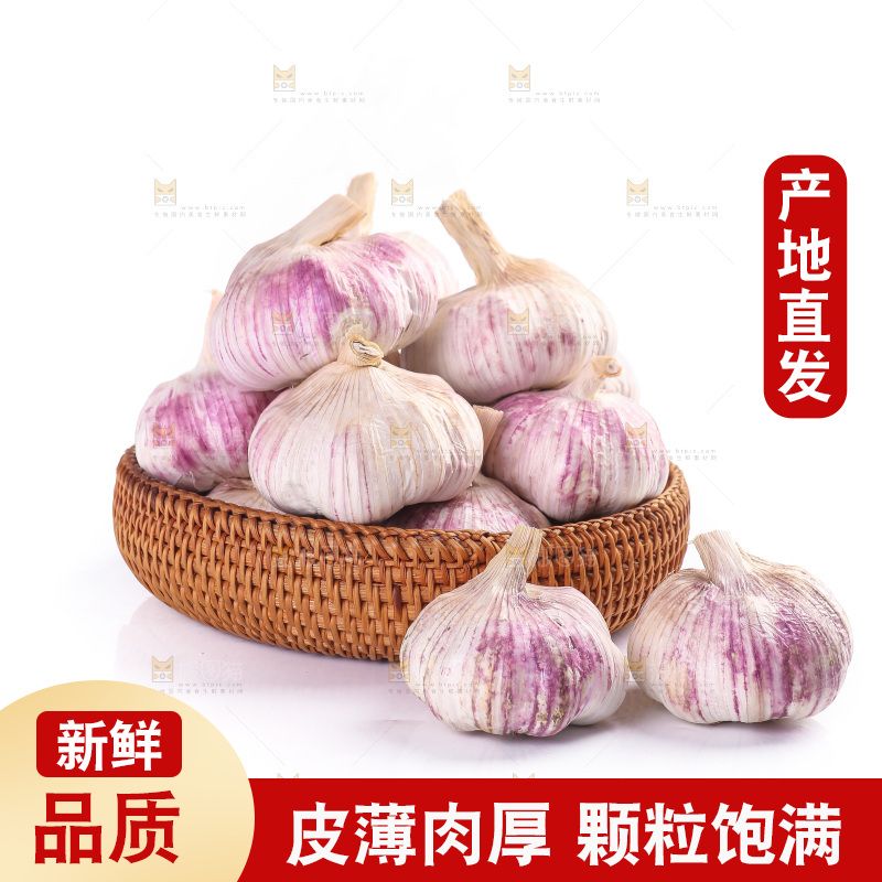 白底上的紫皮大蒜