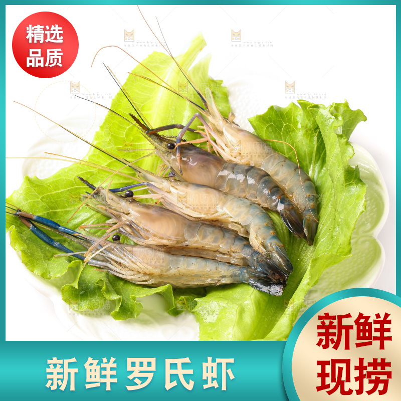 白底上的罗氏虾