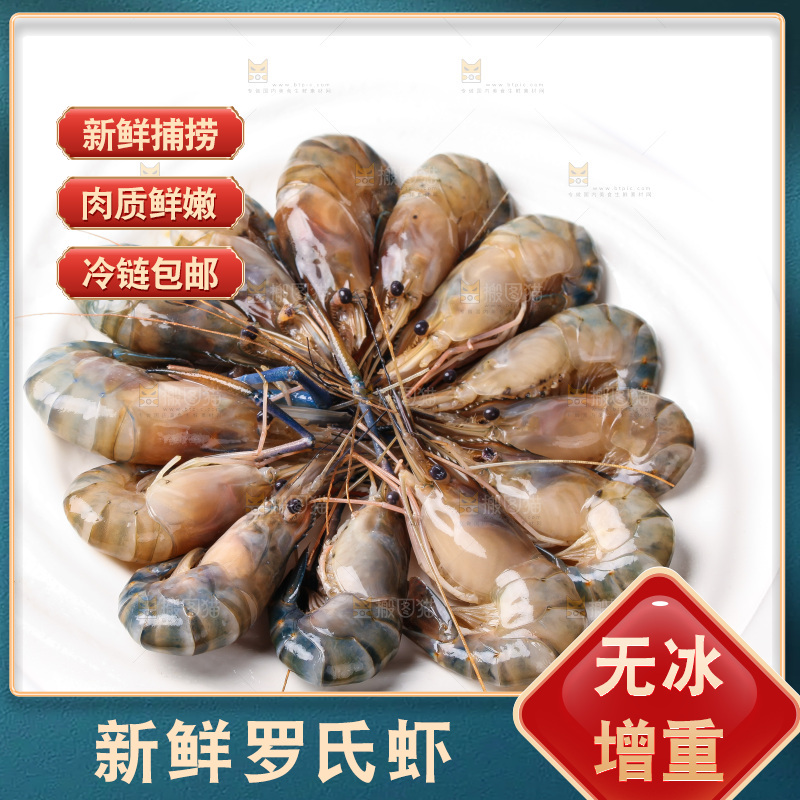 白底上的罗氏虾