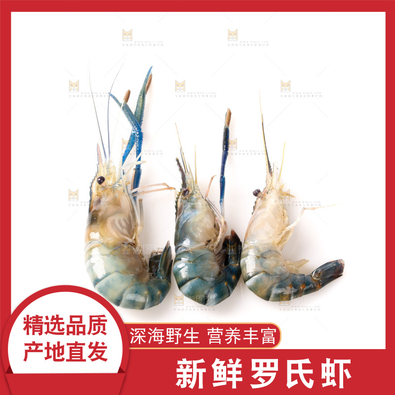 白底上的罗氏虾