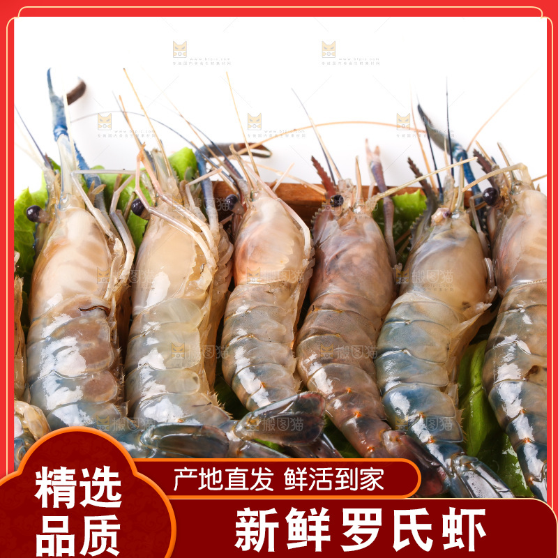 白底上的罗氏虾