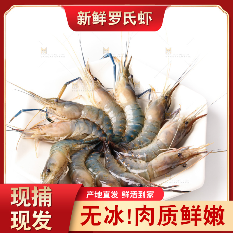 白底上的罗氏虾